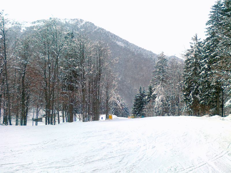 72813-04022012903.jpg