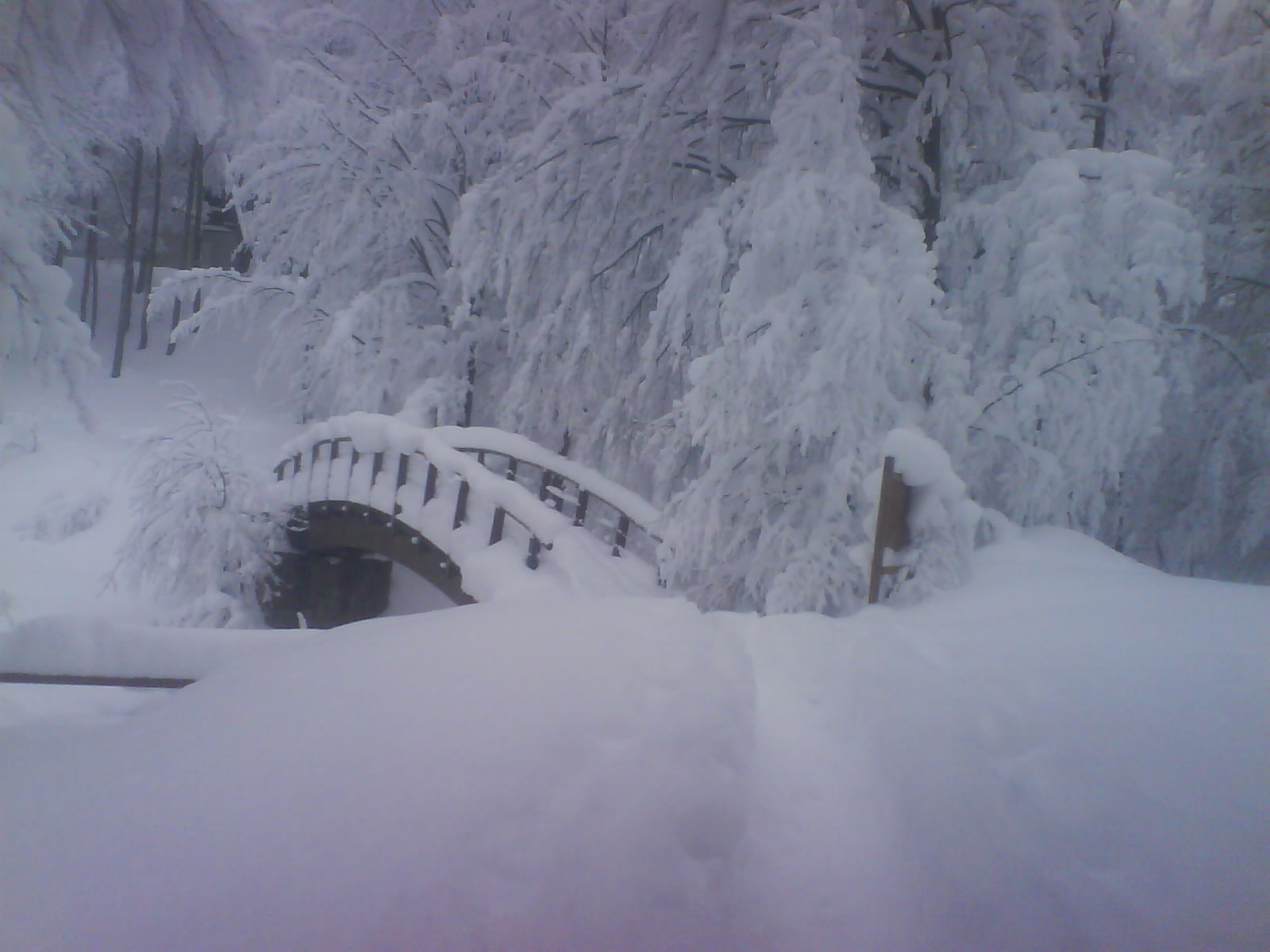 73190-dsc01520.jpg