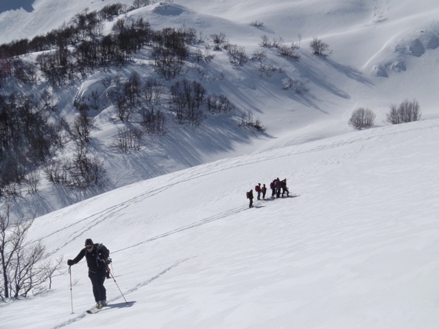 73650-andandocivi.jpg