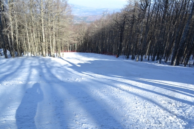 74400-amiata1.jpg