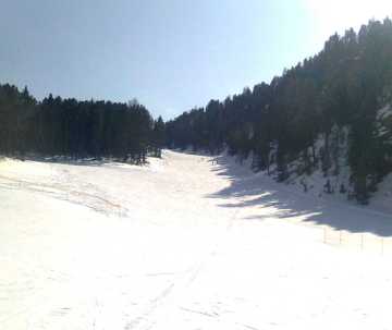 74926-cima-piazzi-skiforum-9.jpg