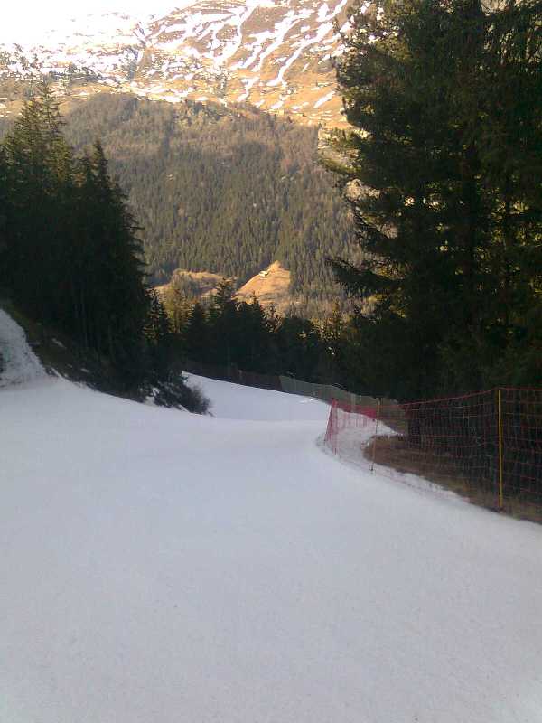 74933-cima-piazzi-skiforum-16.jpg