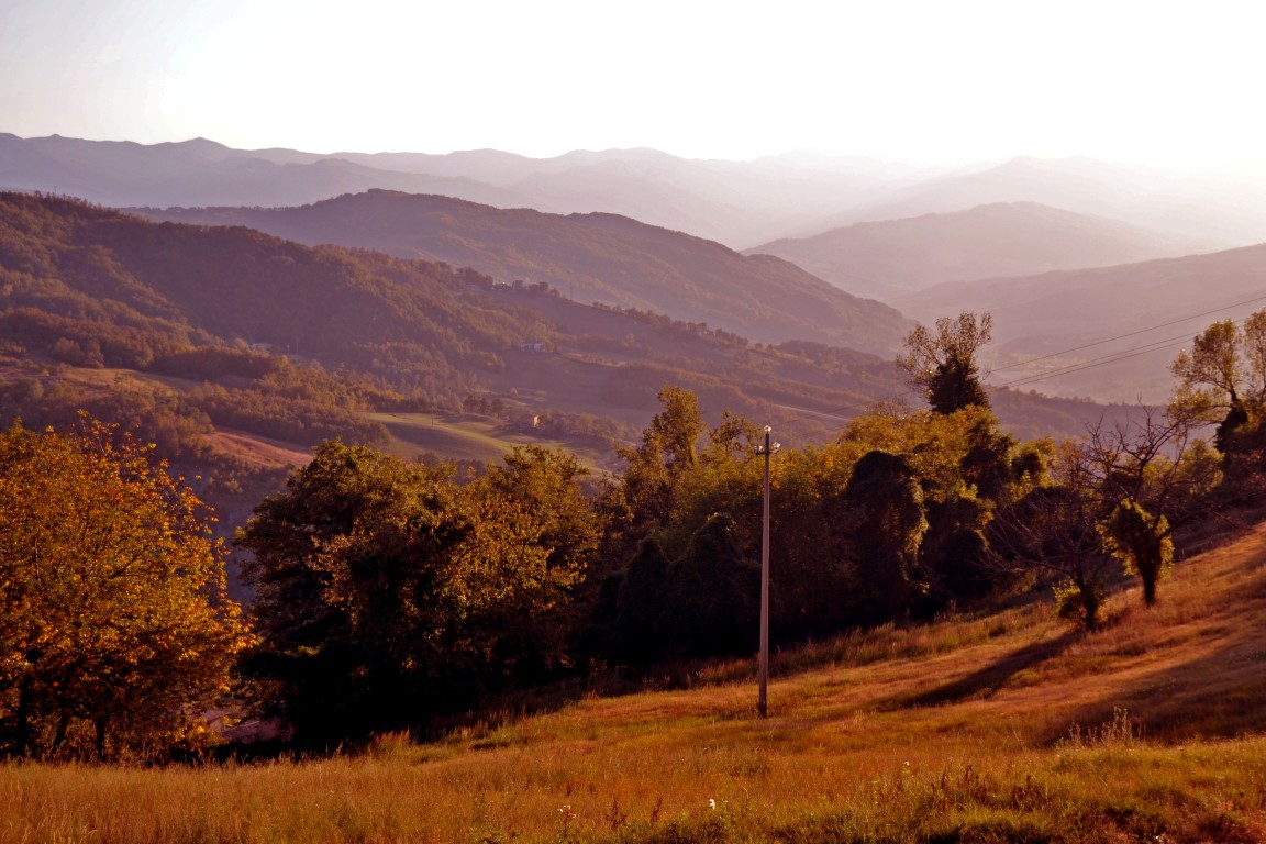 75274-monte-riva-2011-047-z-medium.jpg