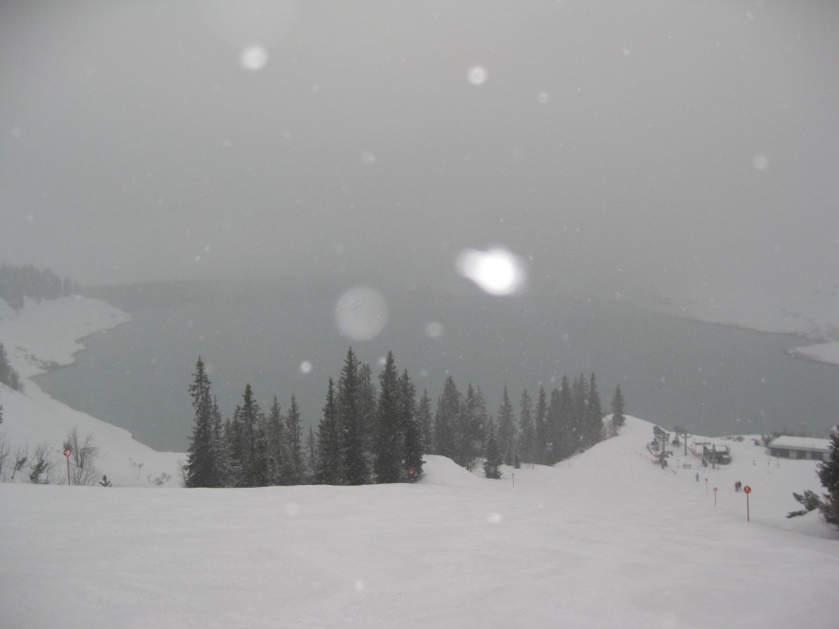 76253-img7514.jpg