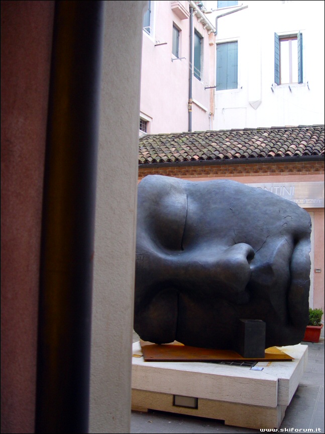 7627-faccia-venezia.jpg