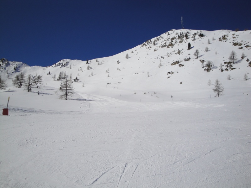 77208-dsc04111.jpg