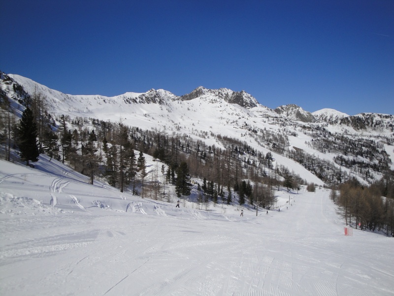 77214-dsc04125.jpg