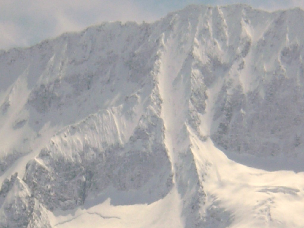 77551-busazza-3.jpg