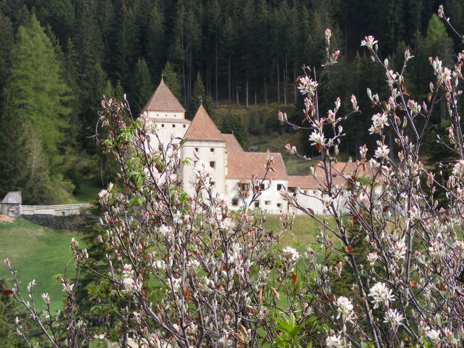 77997-val-chedul-primaverain-val-gardena13-15-magio-2012-015.jpg
