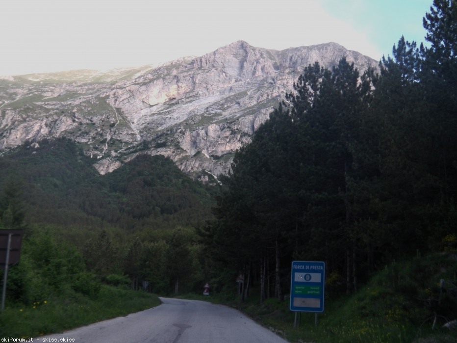 78617-imga0970.jpg