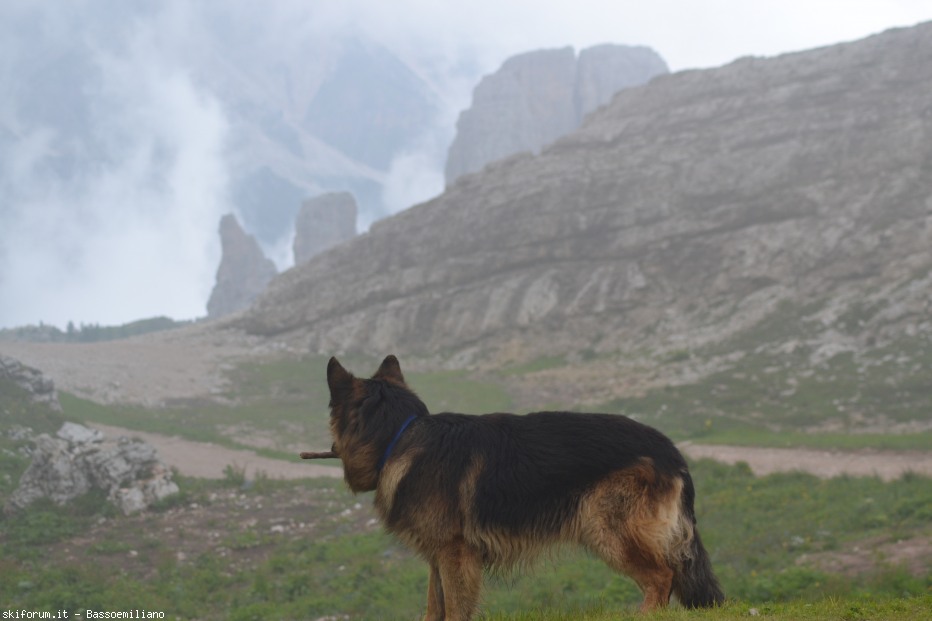 79401-dolomiti-7-2012-123.jpg