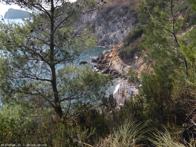 79627-vista-tra-gli-alberi-la-piccola-spiaggetta-di-cala-gesso.jpg