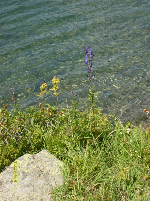 79727-12-lago-cavloc.jpg
