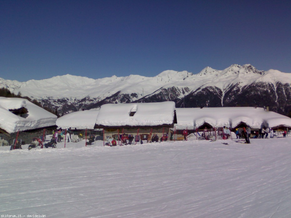 80197-14032010726.jpg
