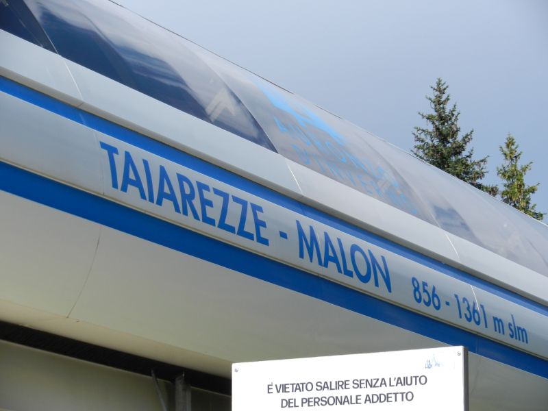 80252-seggio-wlf.jpg