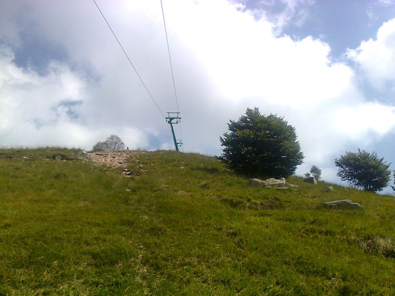 80850-motta2.jpg