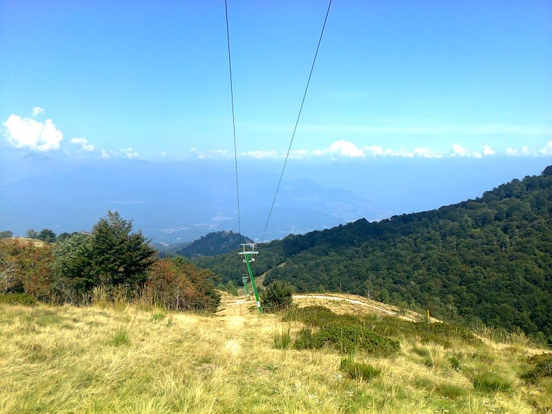 80853-motta5.jpg