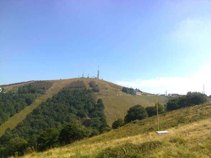 80854-motta6.jpg