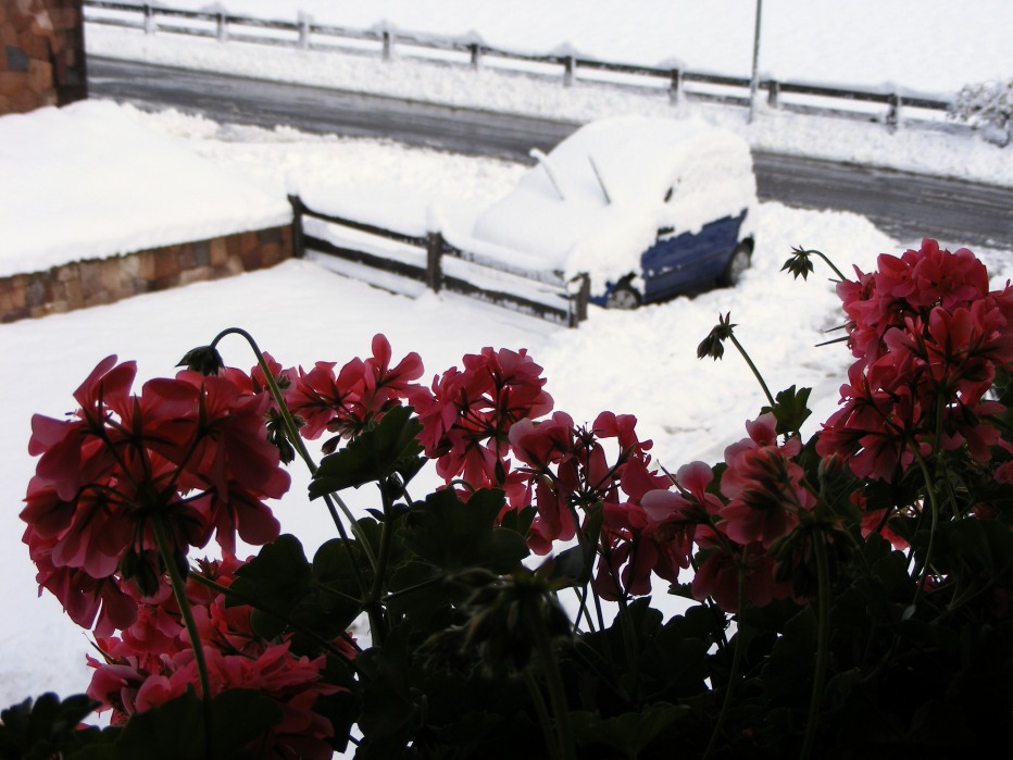 82134-16.10.12-cancellare-007.jpg