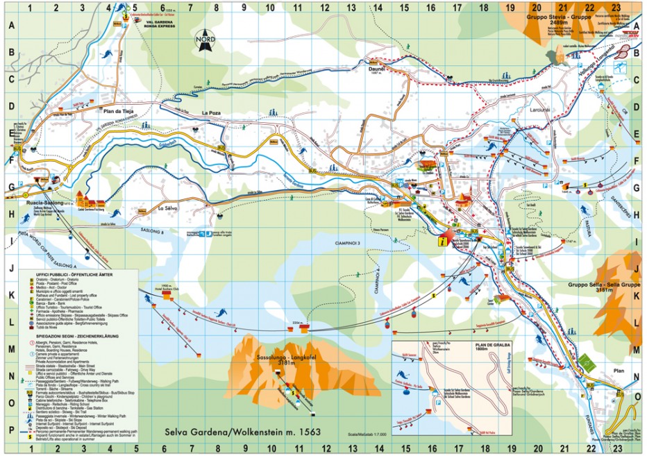 82234-piantinaselva201112.jpg