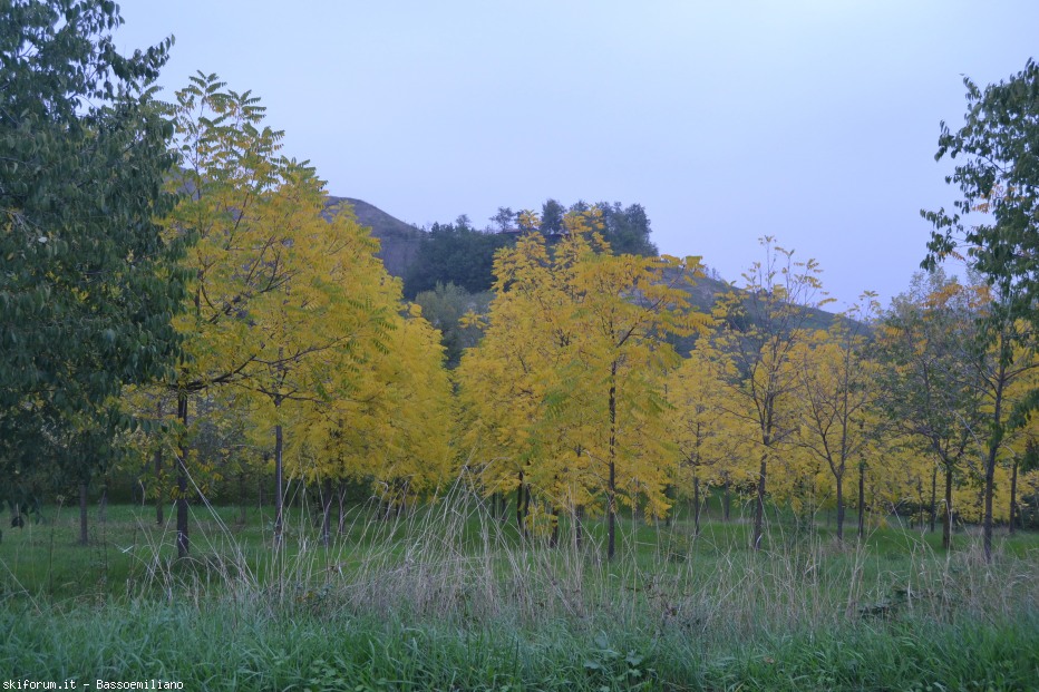 82299-dsc0175.jpg