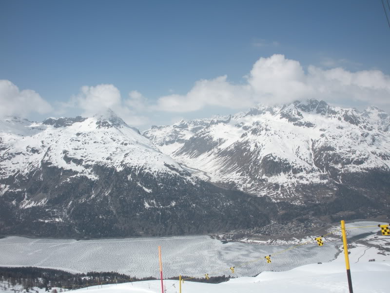 82577-2010-04-243888sils1.jpg