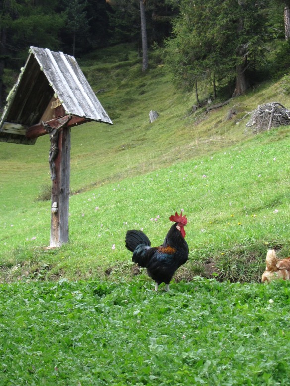 83037-wasserwelt-julia-austria-via-alta-di-vg-055.jpg