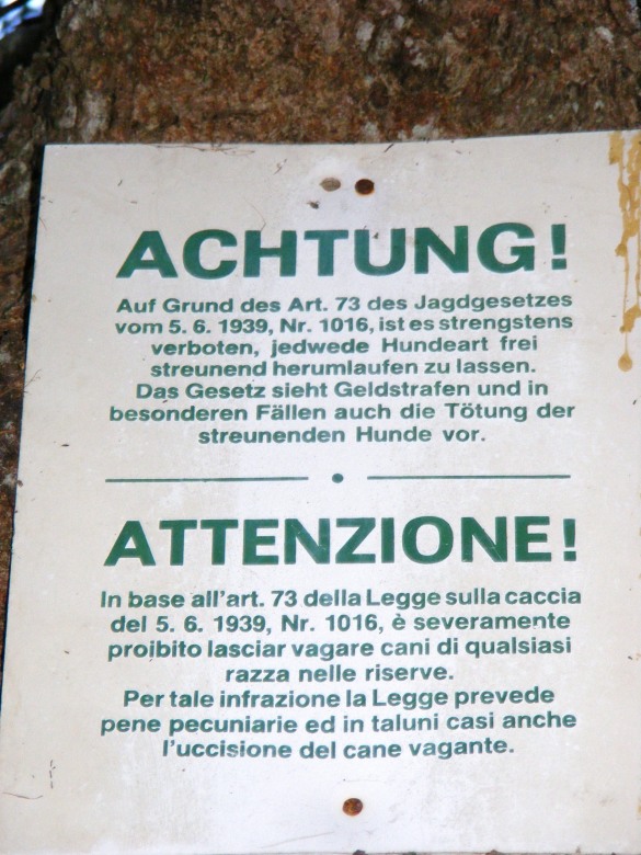 83042-via-alta-vg-9.10.12-024.jpg