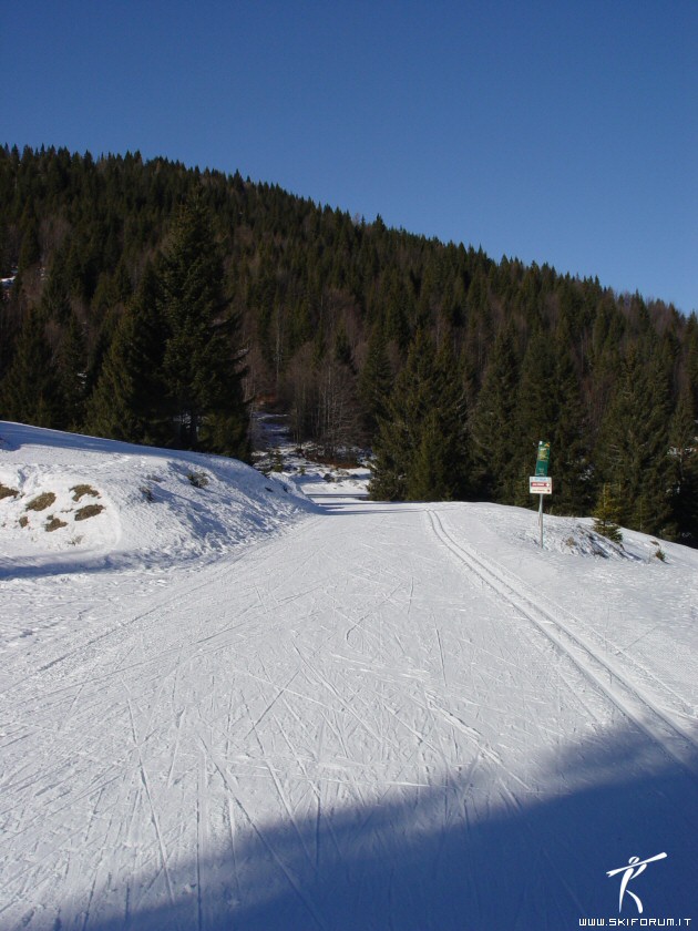 8323-pista-gallio-fondo.jpg