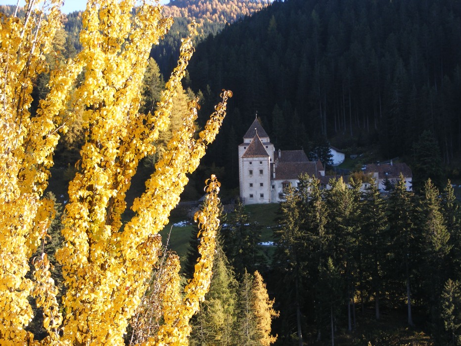 83265-sentiero-di-treno-val-gardena-026.jpg