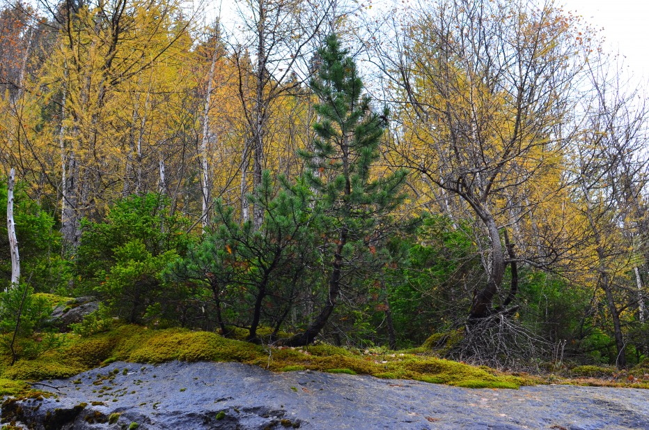 83341-dsc1460.jpg
