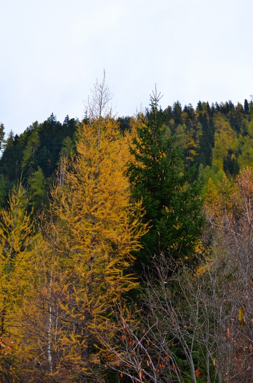 83348-dsc1490.jpg