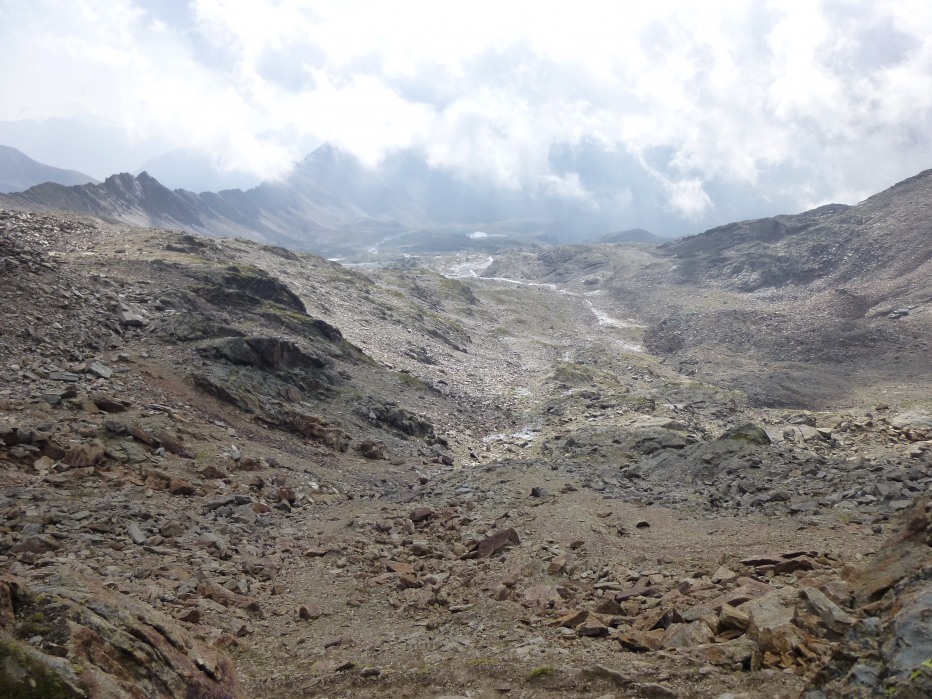 83382-p1000354.jpg
