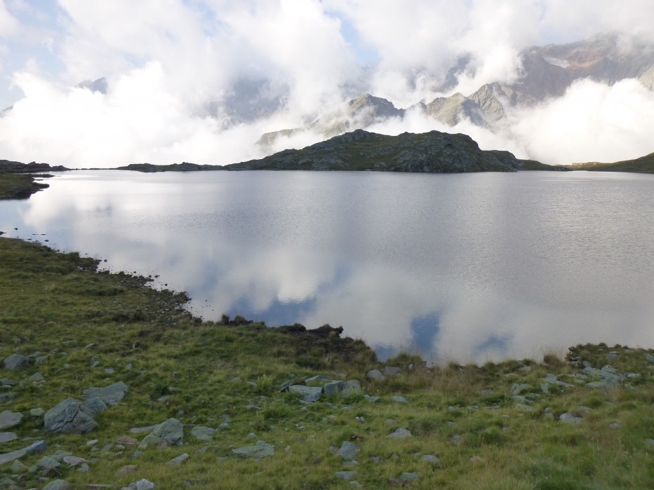 83385-p1000372corretta.jpg
