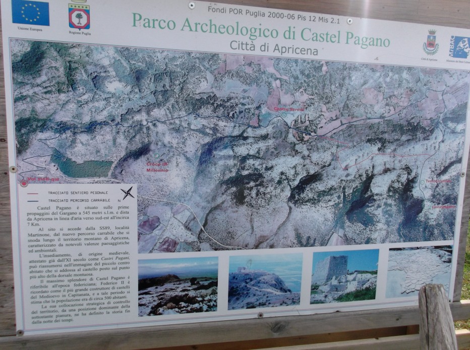 83793-2.jpg