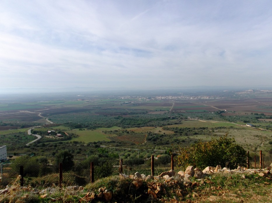 83794-3.jpg