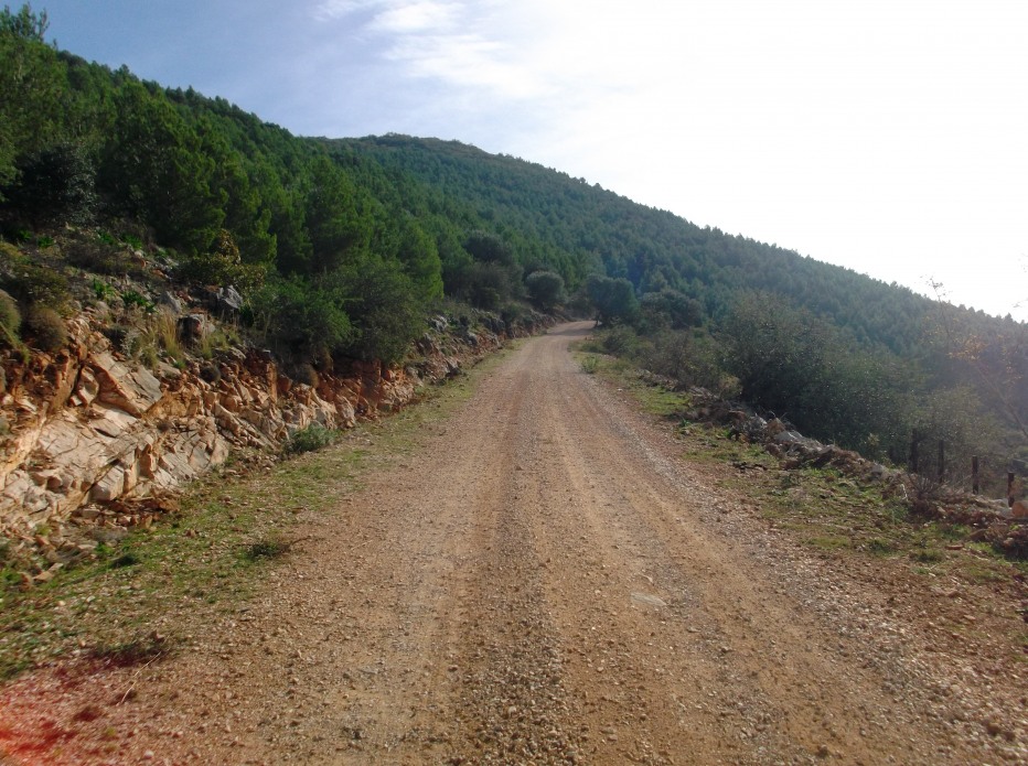 83795-4.jpg