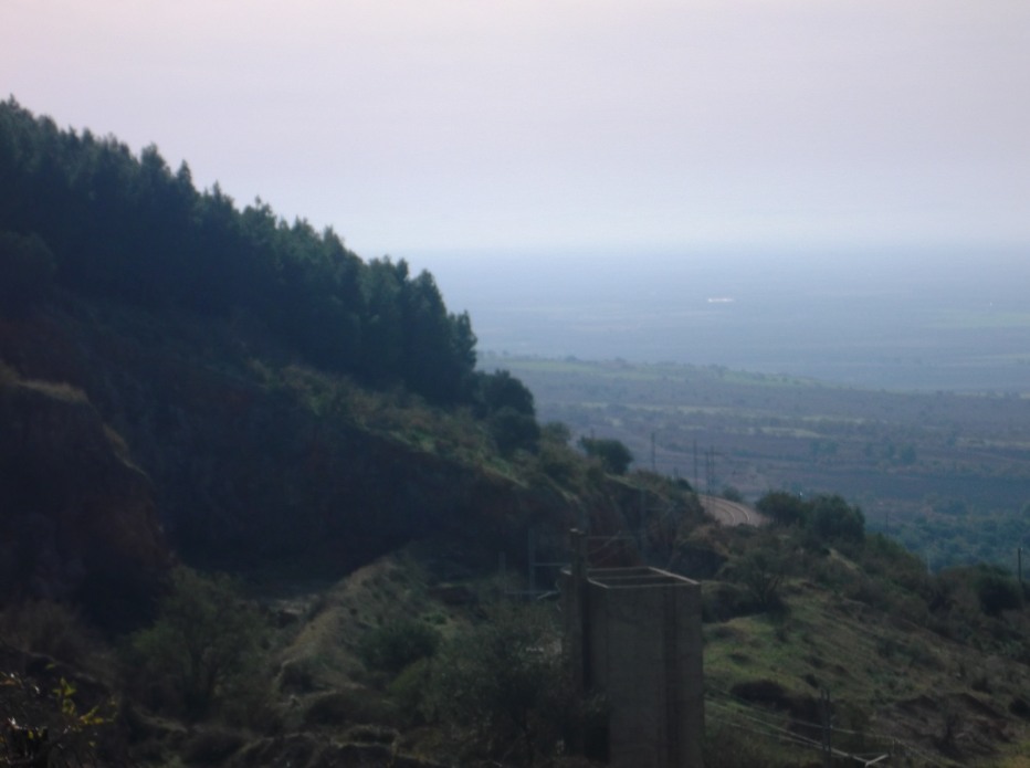83796-5.jpg