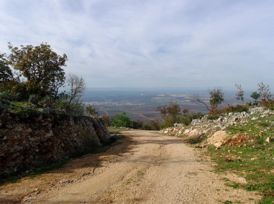 83803-8.jpg