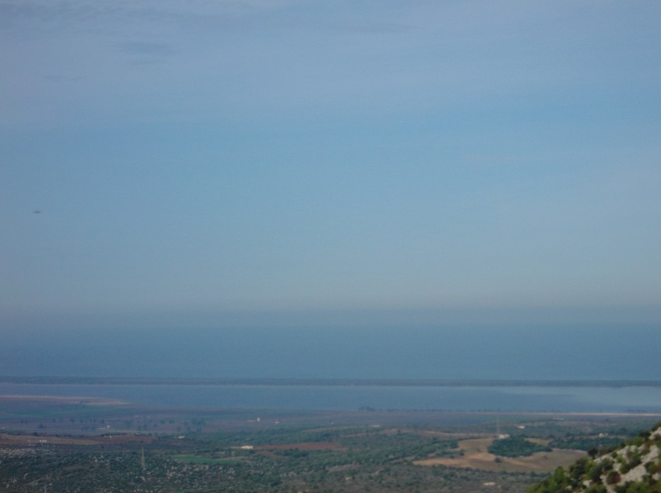 83814-15.jpg
