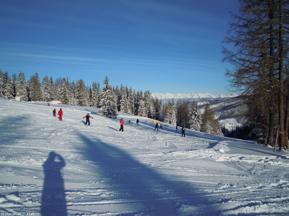 86384-wlf.jpg