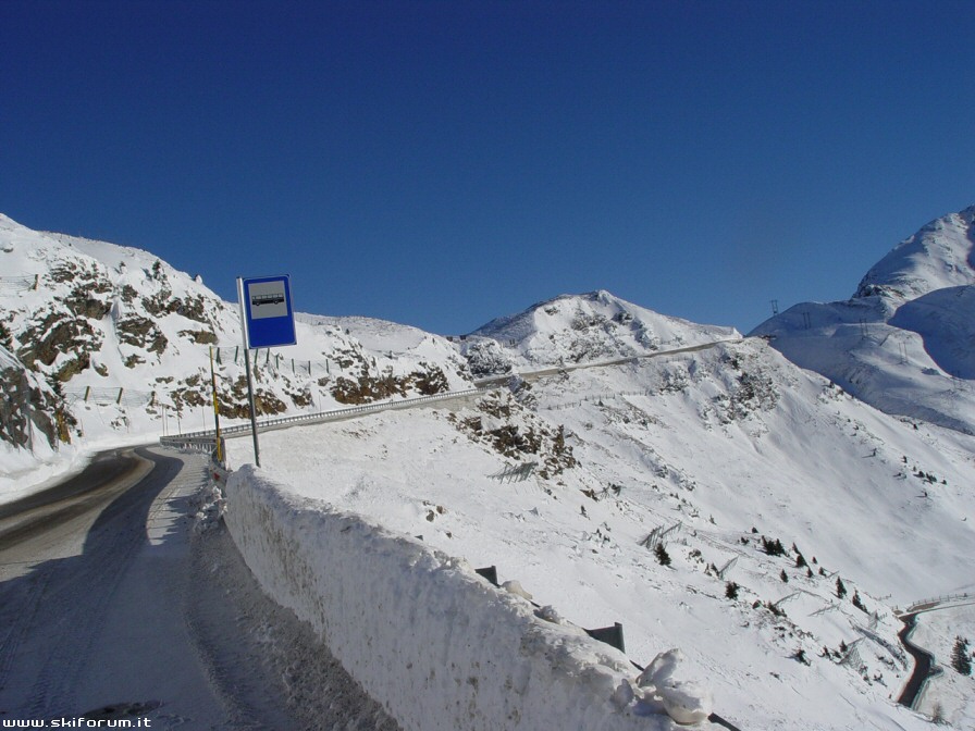 8846-wlf-passo-stradale.jpg