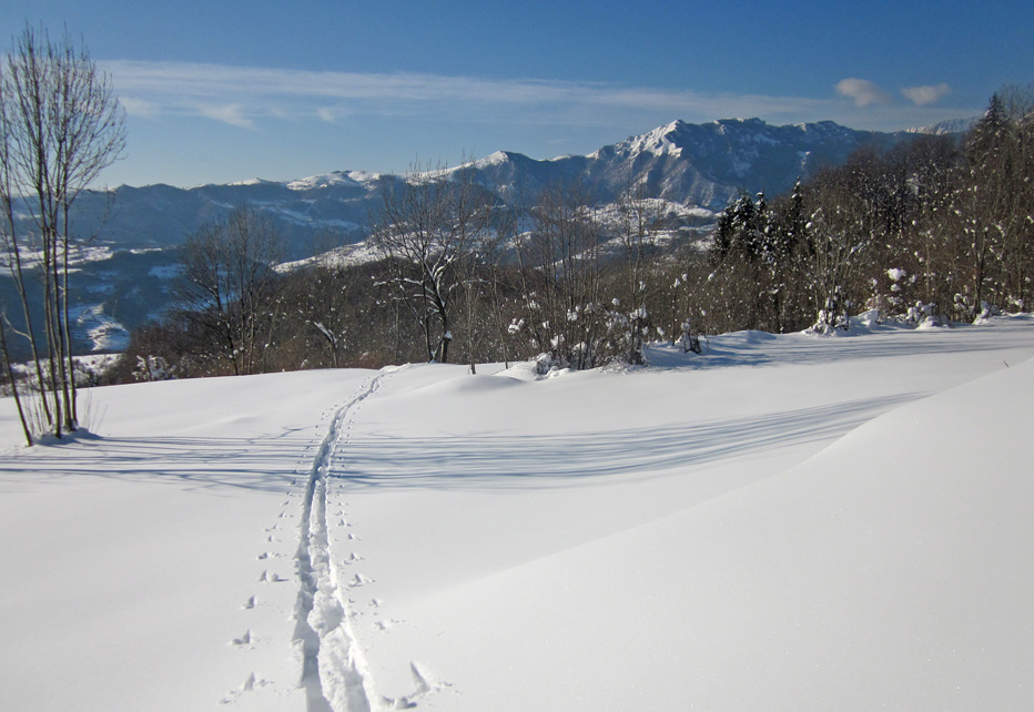 90832-neve-gennaio2013.jpg