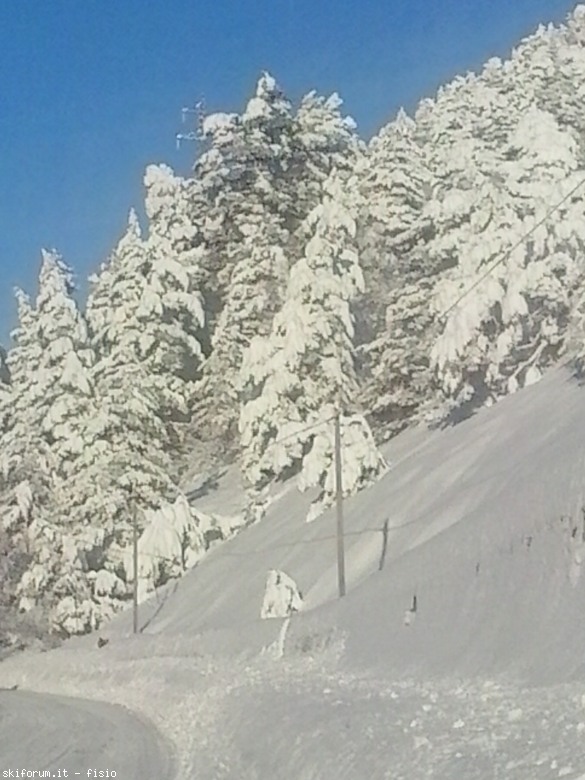 91611-2013-01-21-08.50.31.jpg