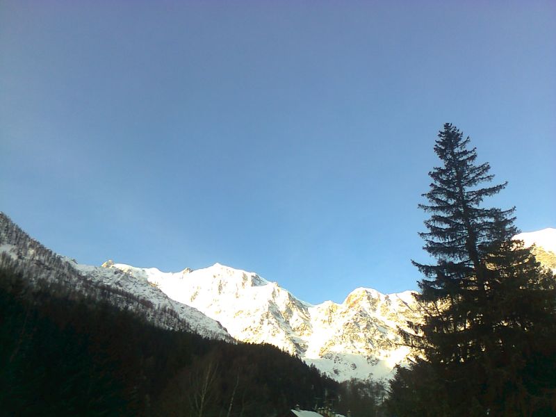 91902-foto0216.jpg