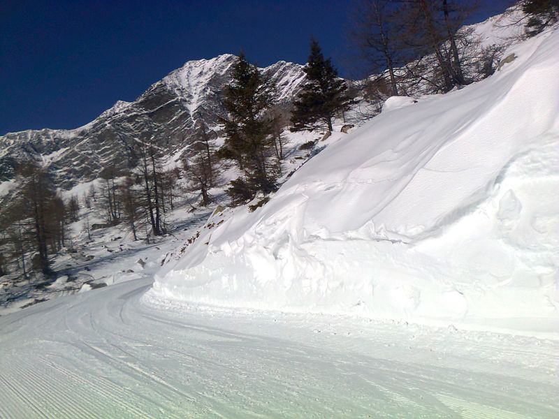 91920-foto0246.jpg