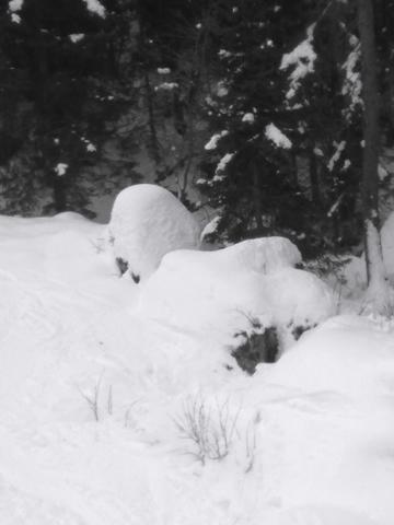 92347-2-neve-schilpario.jpg