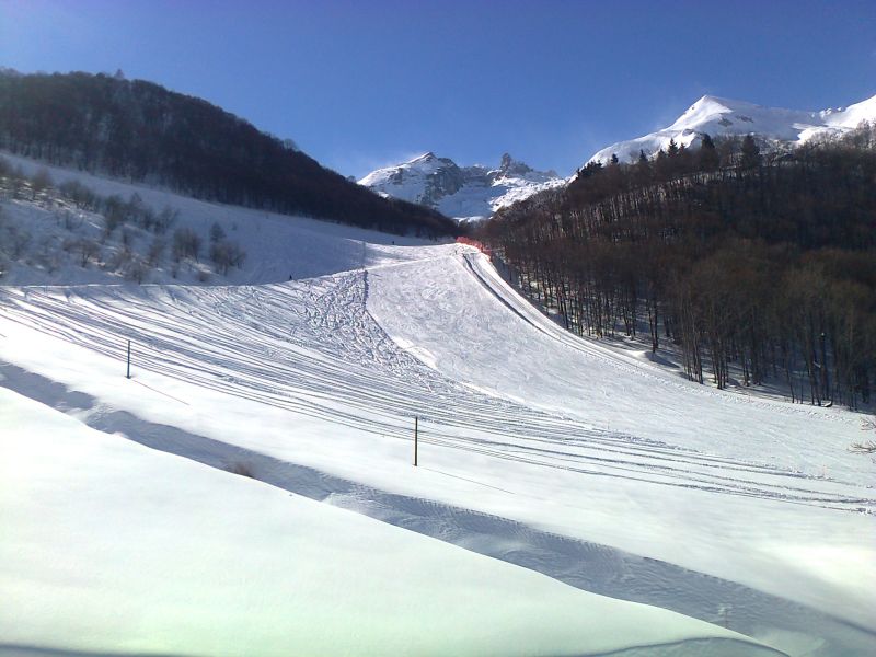 93780-lim15.jpg