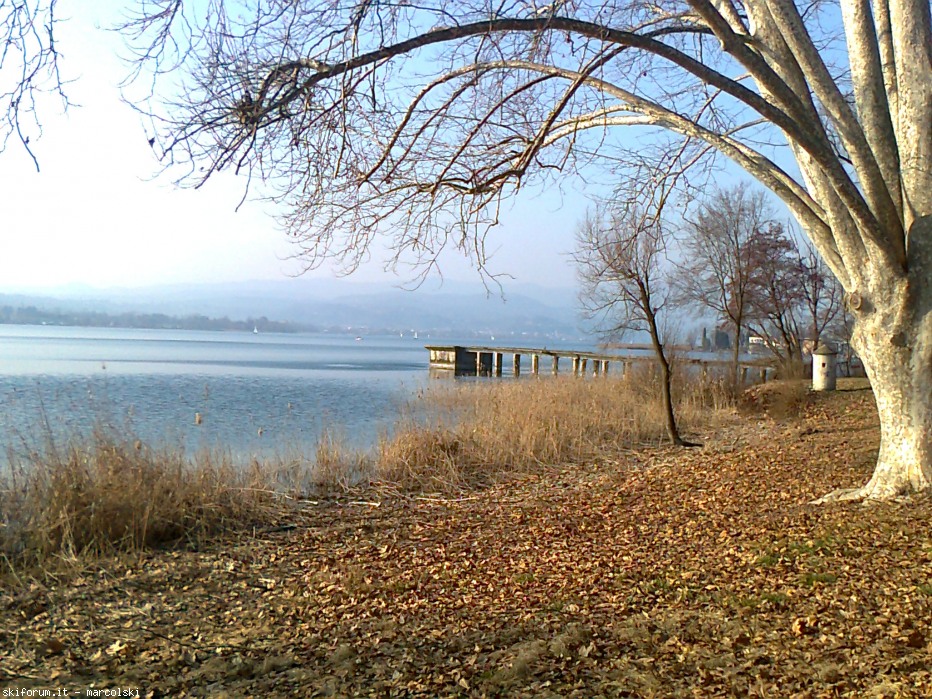 93989-foto0302.jpg