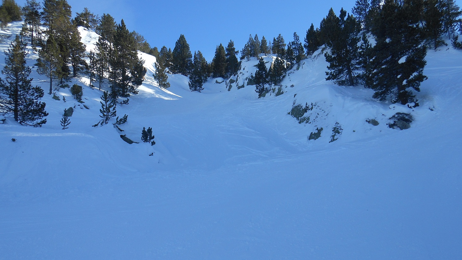 95277-pir-896.jpg